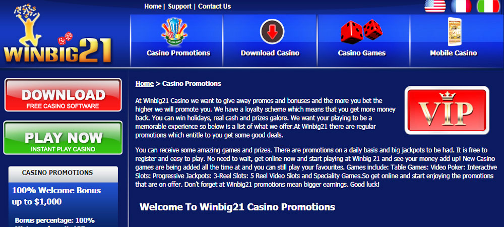 Winbig21 Casino Instant Play