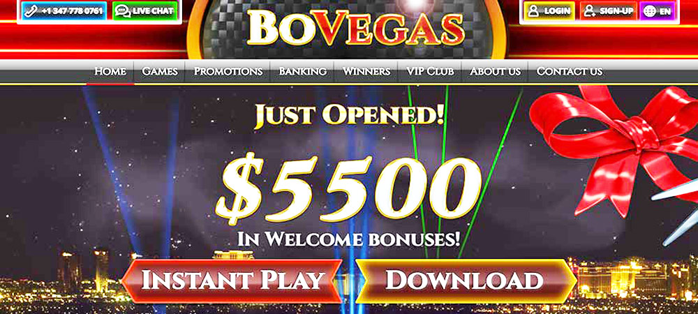 bovegas main page