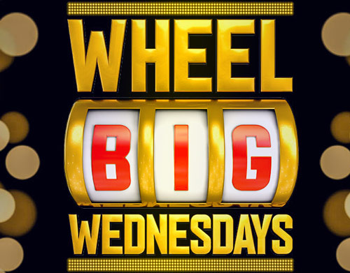 This image has an empty alt attribute; its file name is wheel-big1.jpg